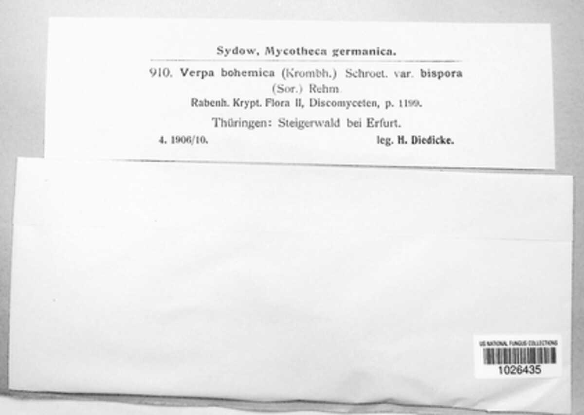 Verpa image